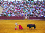 José Tomás, el 18 de agosto en la feria de Málaga  (Foto: ARCHIVO)