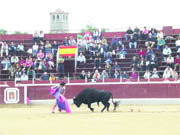 Imagen de una novillada en la feria de Guadarrama  (Foto: ARCHIVO)