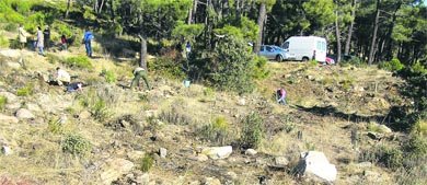 Imagen de la zona afectada en la ladera de Abantos  (Foto: CEDIDA)