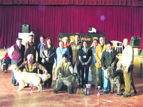 Más de 200 perros se dieron cita en el tercer Concurso Nacional Canino, celebrado el pasado domingo en Valdemorillo.