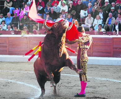 Imagen premiada como la mejor de las presentadas al certamen