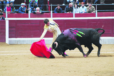 Imagen de la feria de novilladas de Guadarrama  (Foto: Álvaro Blanco)