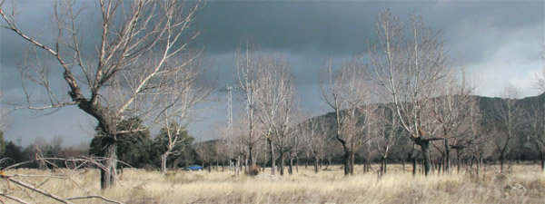 Vista de la zona de La Chopera  (Foto: RICARDO MIGUEL PEÑA)