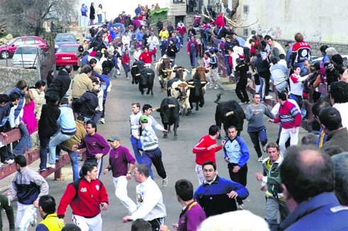 Valdemorillo vive desde hoy las fiestas de San Blas y la Virgen de la Candelaria