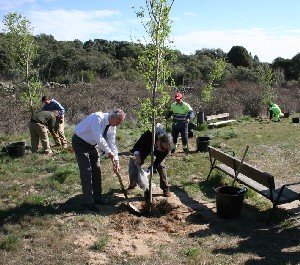 El alcalde y el edil de Medio Ambiente participaron en la plantación (Foto: Ayto. Torrelodones)