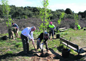 Torrelodones lleva a cabo una plantación en Las Rozuelas