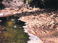 Arriba, imagen de dos baterías abandonadas a orillas del pantano de Cerro Alarcón, en Valdemorillo; abajo, vertidos en el embalse de Los Peñascales  (Foto: P. F. L.)