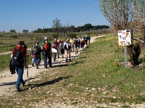 Un momento de la Marcha por la Senda de las Merinas (Foto: Cedida)