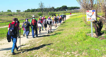 Sexta Marcha por la Senda 
de las Merinas