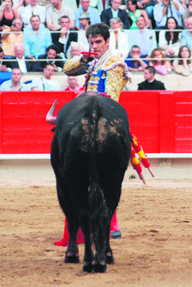 José Tomás, la pasión