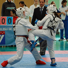 Más de 130 deportistas participaron en el campeonato de katas y kumite