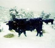 La semana empezó en la Sierra con una intensa nevada