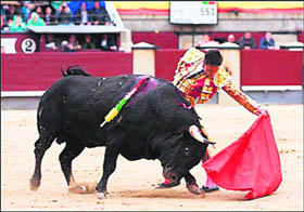 Natural de Diego Urdiales a su primero  (Foto: WWW.LAS-VENTAS.COM)