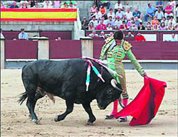 Antonio Joao Ferreira, en una foto de archivo  (Foto: WWW.LAS-VENTAS.COM)