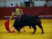 David Luguillano cuajó una buena actuación ante una seria corrida de toros