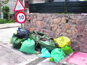 Quejas por los restos de podas