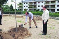 Torrelodones y El Escorial celebran el Día del Medio Ambiente