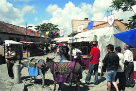 Imagen de la ‘caravana de burros’ el pasado año  (Foto: AYTO. VILLALBA)