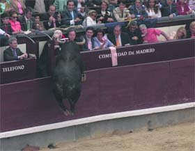 Un buen susto en Las Ventas