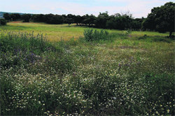 Imágenes de Los Llanos y Cerca de los Robles  (Foto: CEDIDAS)