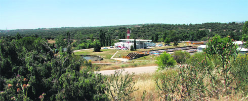 Vista de los terrenos del Caño de la Fragua, en el entorno de la ITV  (Foto:  RICARDO MIGUEL PEÑA)