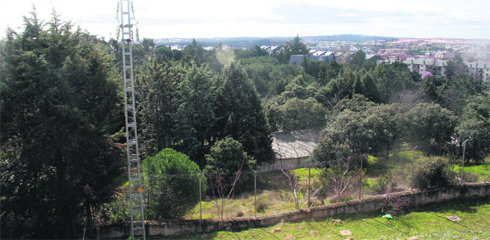 Parte de los terrenos de Cantos Altos - Las Maripis  (Foto: R. M. PEÑA)