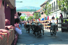 Las fiestas de Guadarrama entran en la recta final