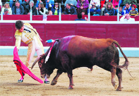 Un momento de la faena de Juan Antonio Siro  (Foto: Álvaro Blanco)