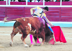 Delgado cuajó una gran tarde, cortando tres orejas  (Foto: Álvaro Blanco)