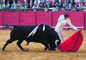 César Jiménez podría matar seis toros en solitario durante la próxima feria de Valdemorillo 2009