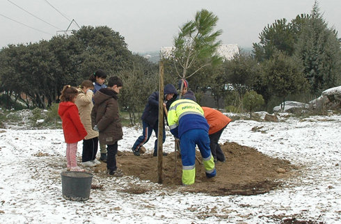 Los escolares de Guadarrama disfrutaron plantando árboles en su jornada medioambiental