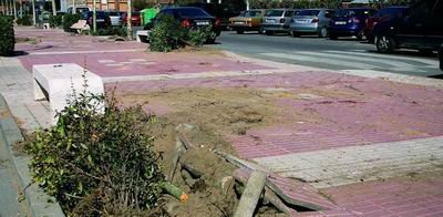 Árboles y arbustos arrancados en la calle Batalla de Bailén  (Foto: Arancha ortega)