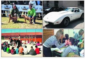 Podencos, coches clásicos, maquillaje y actividades educativas se suceden en Robledo de Chavela