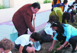 Jornada de plantación en la carretera de Guadarrama