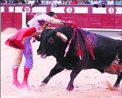 Feria de San isidro: orejas generosas para Capea y De Justo en la primera semana