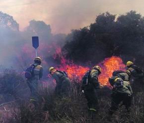  Fotografía: Comunidad de Madrid