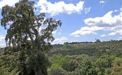 Vista del Área Homogénea Norte desde uno de sus barrancos, con el Casino al fondo / CEDIDA