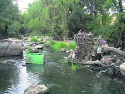 La suciedad del río abochorna a los vecinos / archivo