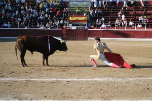 Imagen de la novillada de Guadaira del pasado sábado (Foto: R.T.)