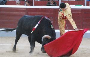 Premios a los mejores de la feria de novilladas de Guadarrama