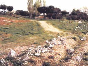 Vista de los terrenos del Caño de la Fragua / archivo