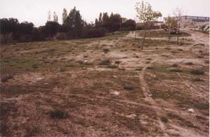 Imagen de los terrenos del Caño de la Fragua / ARCHIVO