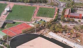 Los árboles del aparcamiento de la Ciudad Deportiva de Collado Villalba, desaparecidos