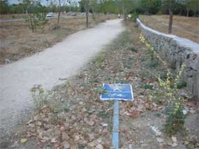 A través del ‘Plan E’ se recuperarán los carriles bici / CEDIDA