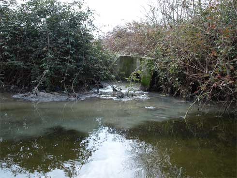 El aliviadero vierte las aguas contaminadas al arroyo justo antes de entrar en El Pardo  (Foto: R.F.)