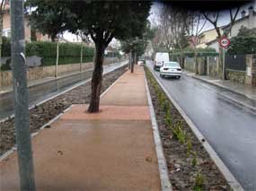 Imagen de la avenida de la Dehesa de Torrelodones