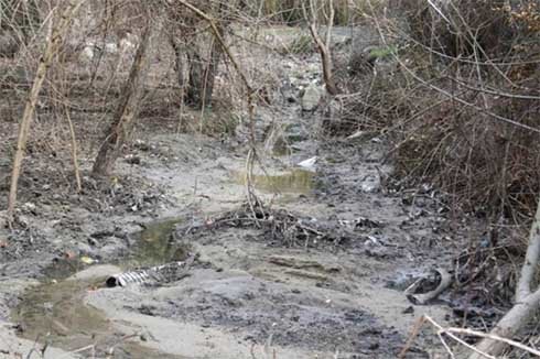 El vertido de aguas residuales afecta al entorno de la calle Cuernavaca