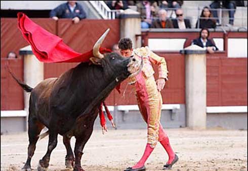 Fallida actuación de Daniel Luque en Madrid  (Foto: LAS-VENTAS.com)