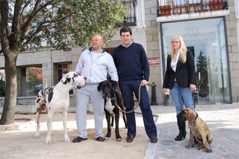 El parque de La Manguilla de El Escorial acoge la Monográfica Nacional del Dogo Alemán