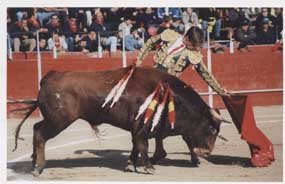 Los gastos en los festejos taurinos provocaron la polémica 